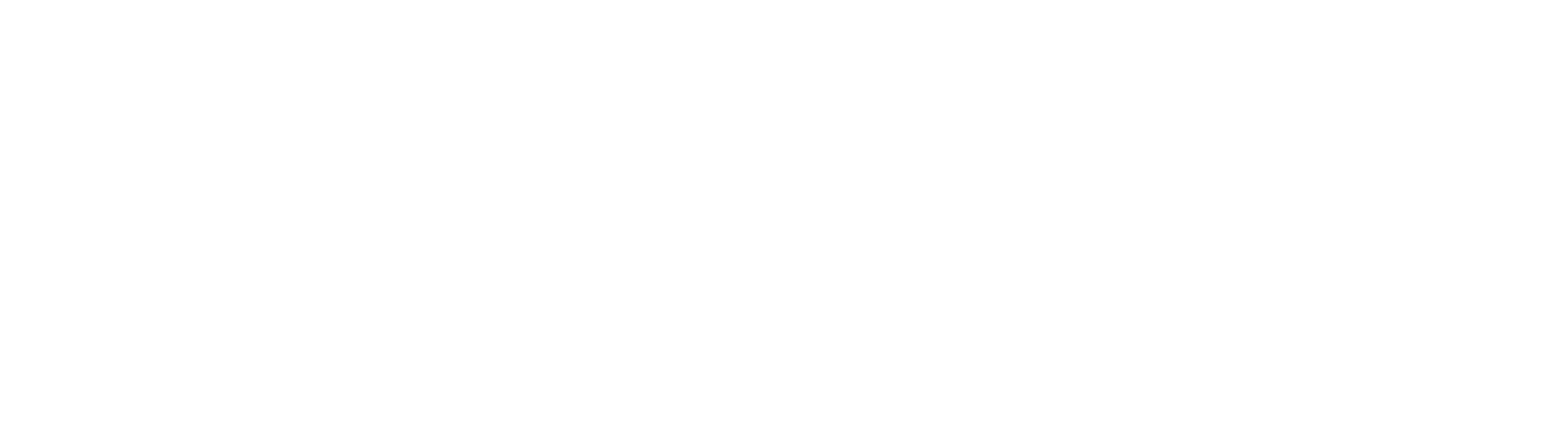 Nozomi Networks Logo